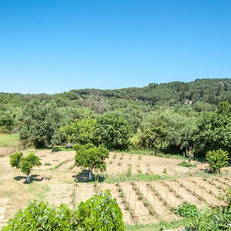 Vassilis Paradise Garden Aparthotel Agios Georgios Pagon Buitenkant foto