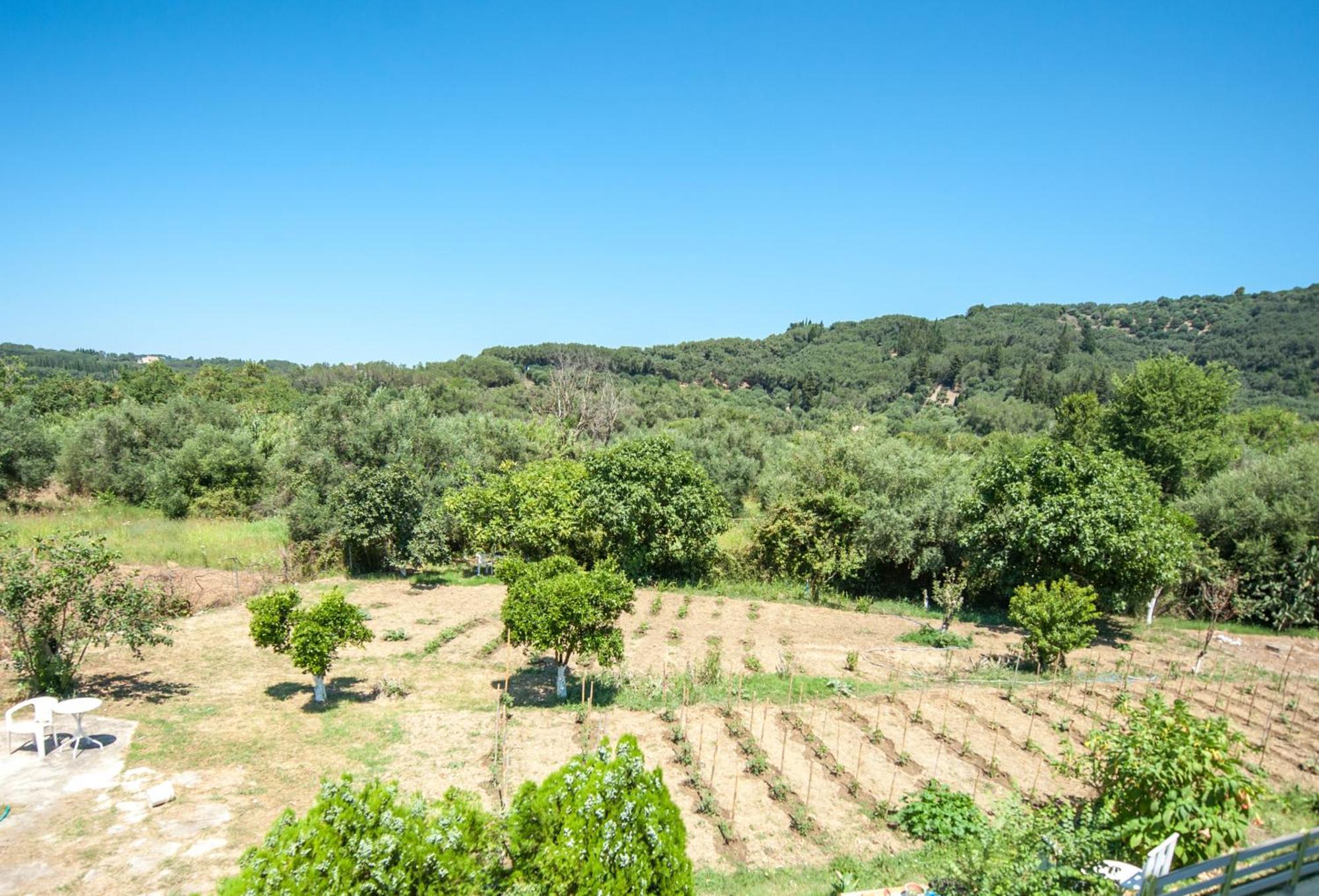 Vassilis Paradise Garden Aparthotel Agios Georgios Pagon Buitenkant foto